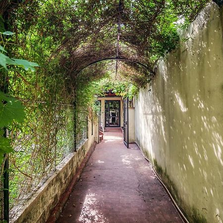 Santa Reparata Apartment With Patio And Terrace Florence Luaran gambar